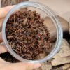 Mix Incense Pack - Bakhoor Vanilla, Incense Cones & Sandalwood